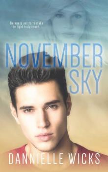 November Sky (Hardest Mistakes Book 2)