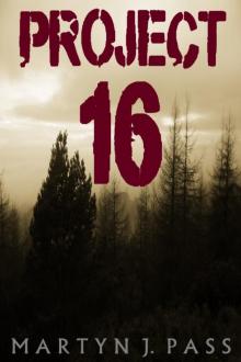 Project - 16