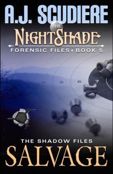 Salvage: A Shadow Files Novel