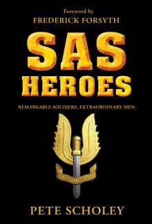 SAS Heroes