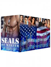 SEALs of Winter: A military romance superbundle