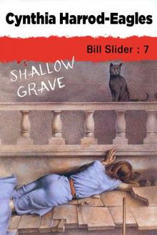 Shallow Grave (Bill Slider Mystery)