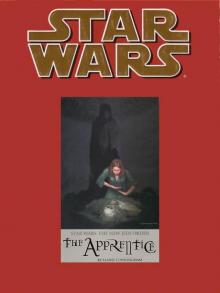 Star Wars: New Jedi Order Stories: The Apprentice