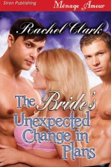 The Bride's Unexpected Change in Plans