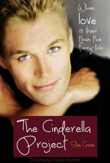 The Cinderella Project (A Comedy of Love, #1)