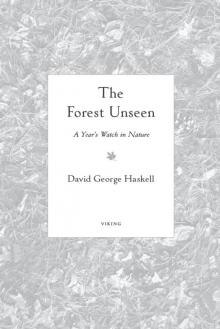 The Forest Unseen: A Year's Watch in Nature