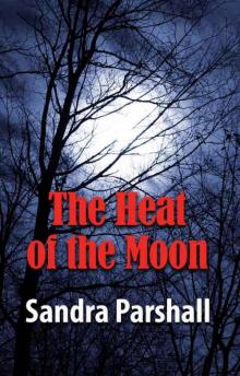 The Heat of the Moon: A Rachel Goddard Mystery (Rachel Goddard Mysteries)