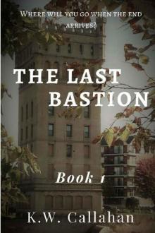 The Last Bastion (Book 1): The Last Bastion