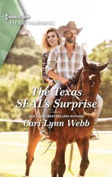 The Texas SEAL's Surprise--A Clean Romance