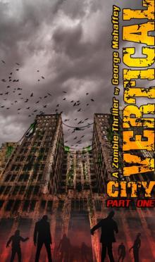 VERTICAL CITY: A ZOMBIE THRILLER (BOOK 1 OF 4)