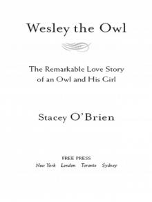 Wesley the Owl