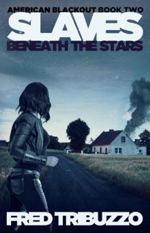 American Blackout (Book 2): Slaves Beneath The Stars