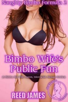 Bimbo Wife's Public Fun