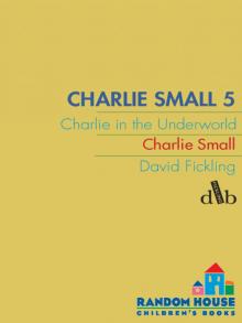 Charlie in the Underworld