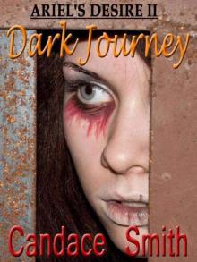 Dark Journey [Ariel's Desire 2]