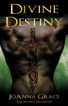 Divine Destiny- the Divine Chronicles Book 2