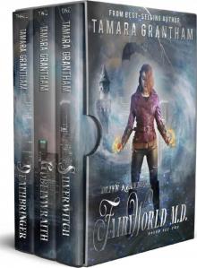 Fairy World M.D., Boxed Set Two (4-6.5)