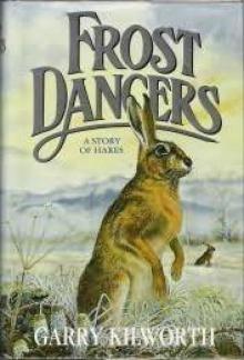 Frost Dancers: A Story of Hares