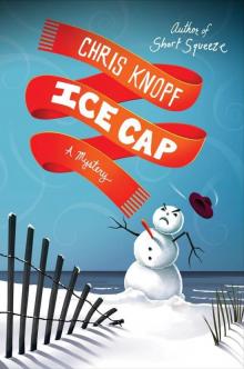 Ice Cap: A Mystery (Jackie Swaitkowski Mysteries)