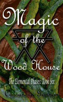 Magic of the Wood House