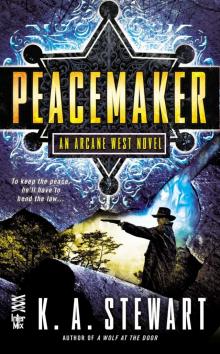 Peacemaker (9780698140820)