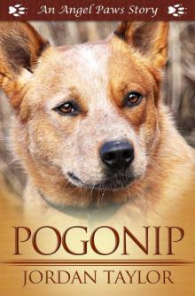 Pogonip (Angel Paws)