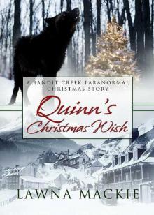 Quinn's Christmas Wish