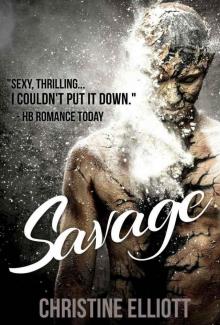 Savage: a Fighter Erotic Romance Novella