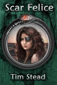 Scar Felice (The Fourth Age of Shanakan Book 3)