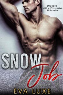 Snow Job: Stranded with a Possessive Billionaire Romance