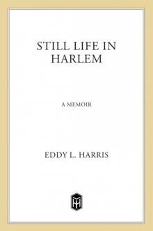 Still Life in Harlem