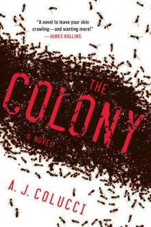 The Colony: A Novel