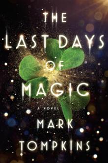 The Last Days of Magic: A Novel