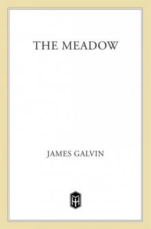 The Meadow