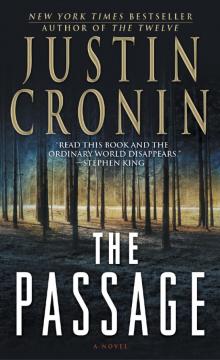 The Passage: A Novel