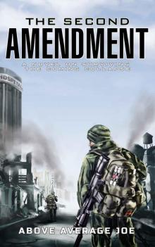 The Second Amendment: A Novel On Surviving The Coming Collapse