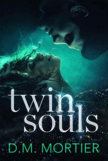 Twin Souls (The Guardians: Book 2)