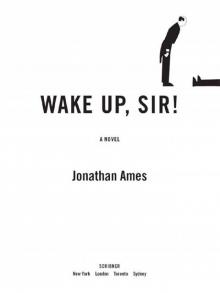 Wake Up, Sir!: A Novel