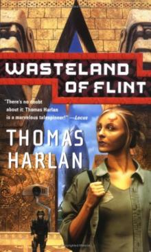 Wasteland of Flint