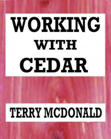 Working With Cedar: A Post Apocalyptic Tale