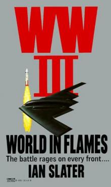 World in Flames wi-3