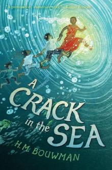 A Crack in the Sea