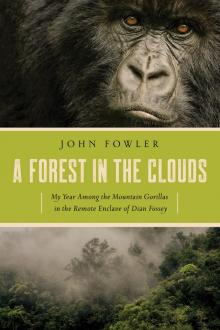 A Forest in the Clouds