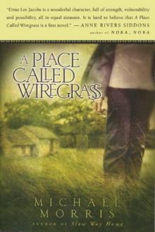 A Place Called Wiregrass