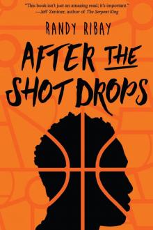 After the Shot Drops