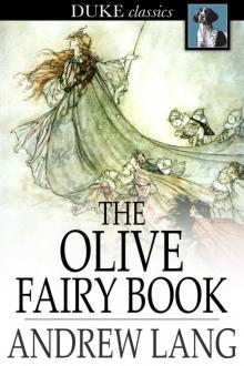 Andrew Lang_Fairy Book 11