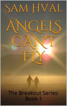 Angels Can't Fly