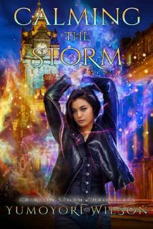 Calming the Storm (Crimson Storm Chronicles Book 2)