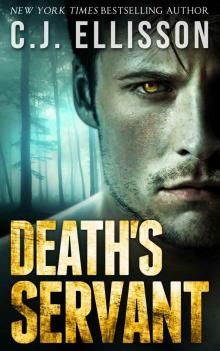 Death Times Two (The V V Inn, Book 3.5)