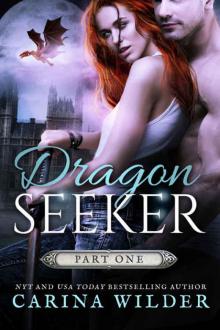 Dragon Seeker: Part One (Dragon Hunter Chronicles Book 5)